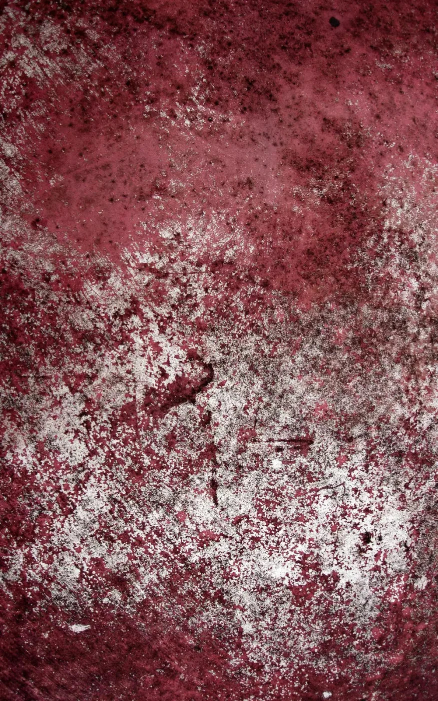 Cardinal 9X14 Ultracloth ( 108 X 168 Inch ) Backdrop