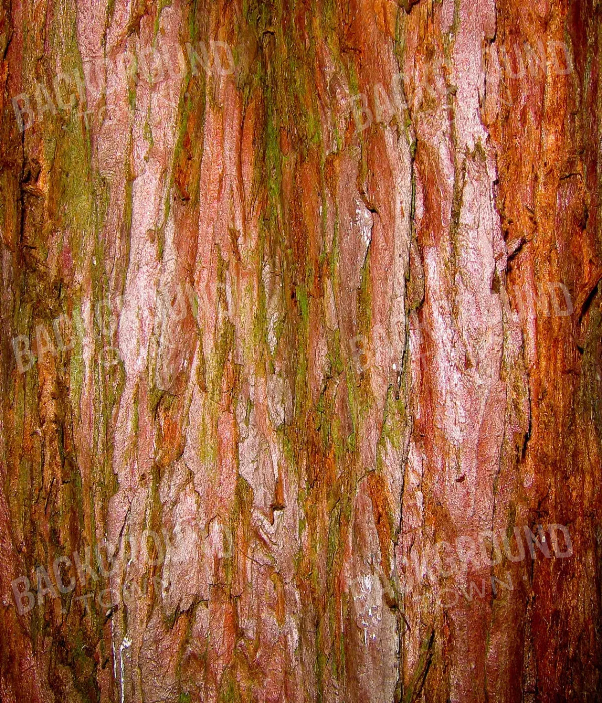 Carmelo 10X12 Ultracloth ( 120 X 144 Inch ) Backdrop