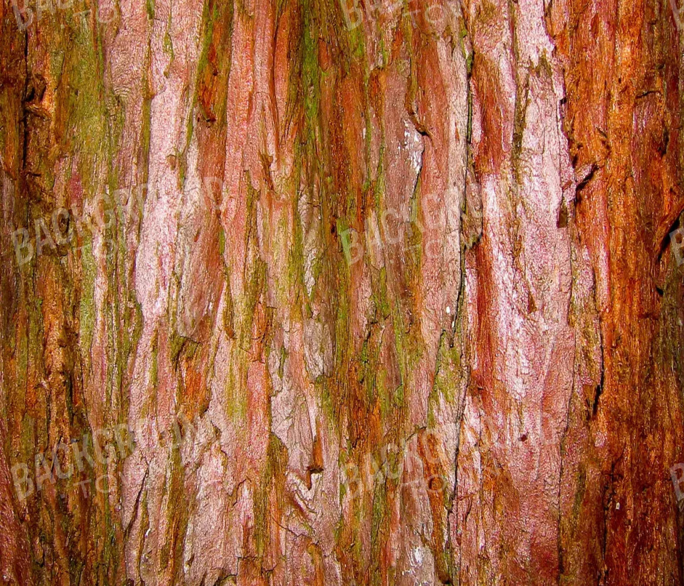 Carmelo 12X10 Ultracloth ( 144 X 120 Inch ) Backdrop