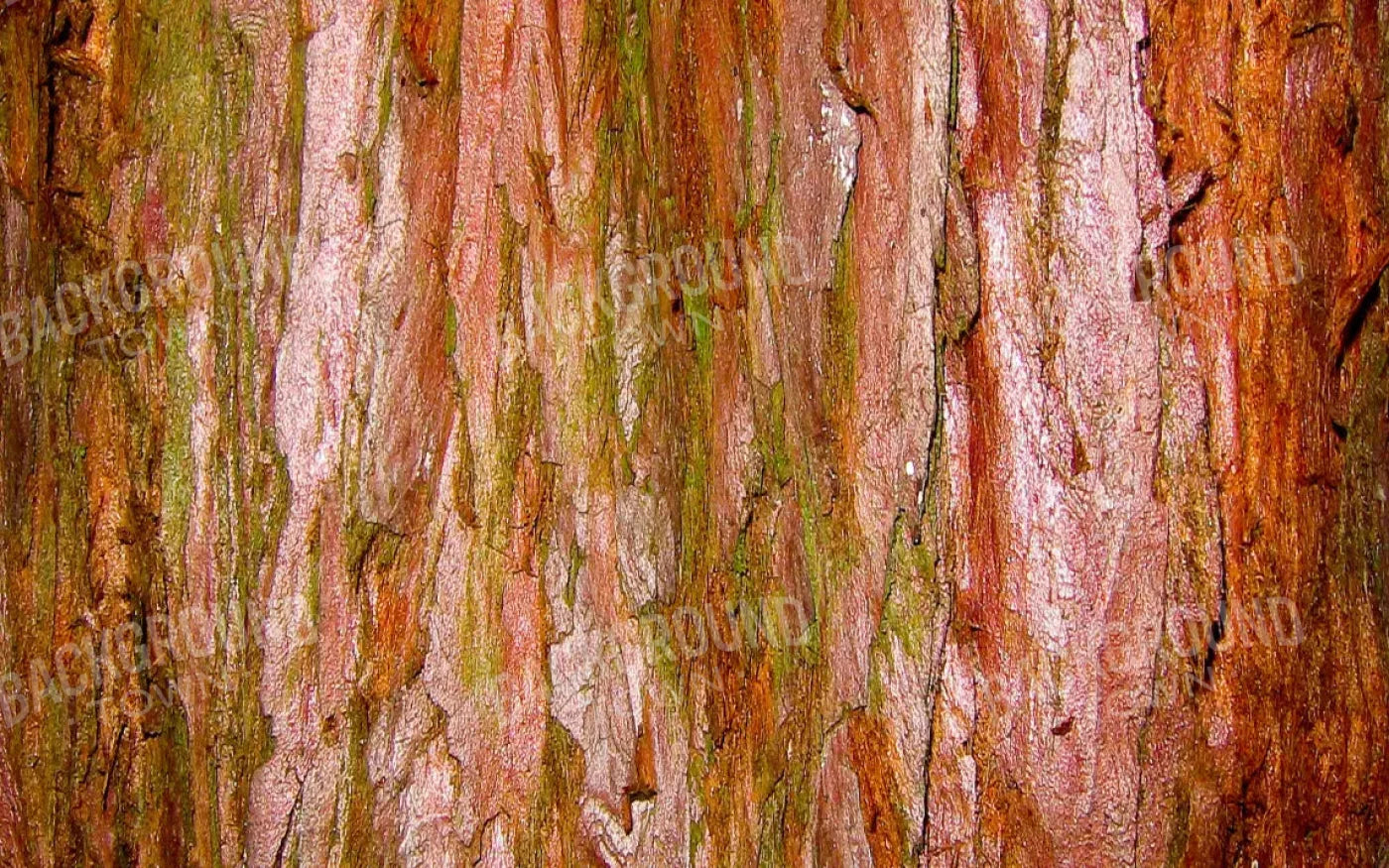 Carmelo 14X9 Ultracloth ( 168 X 108 Inch ) Backdrop