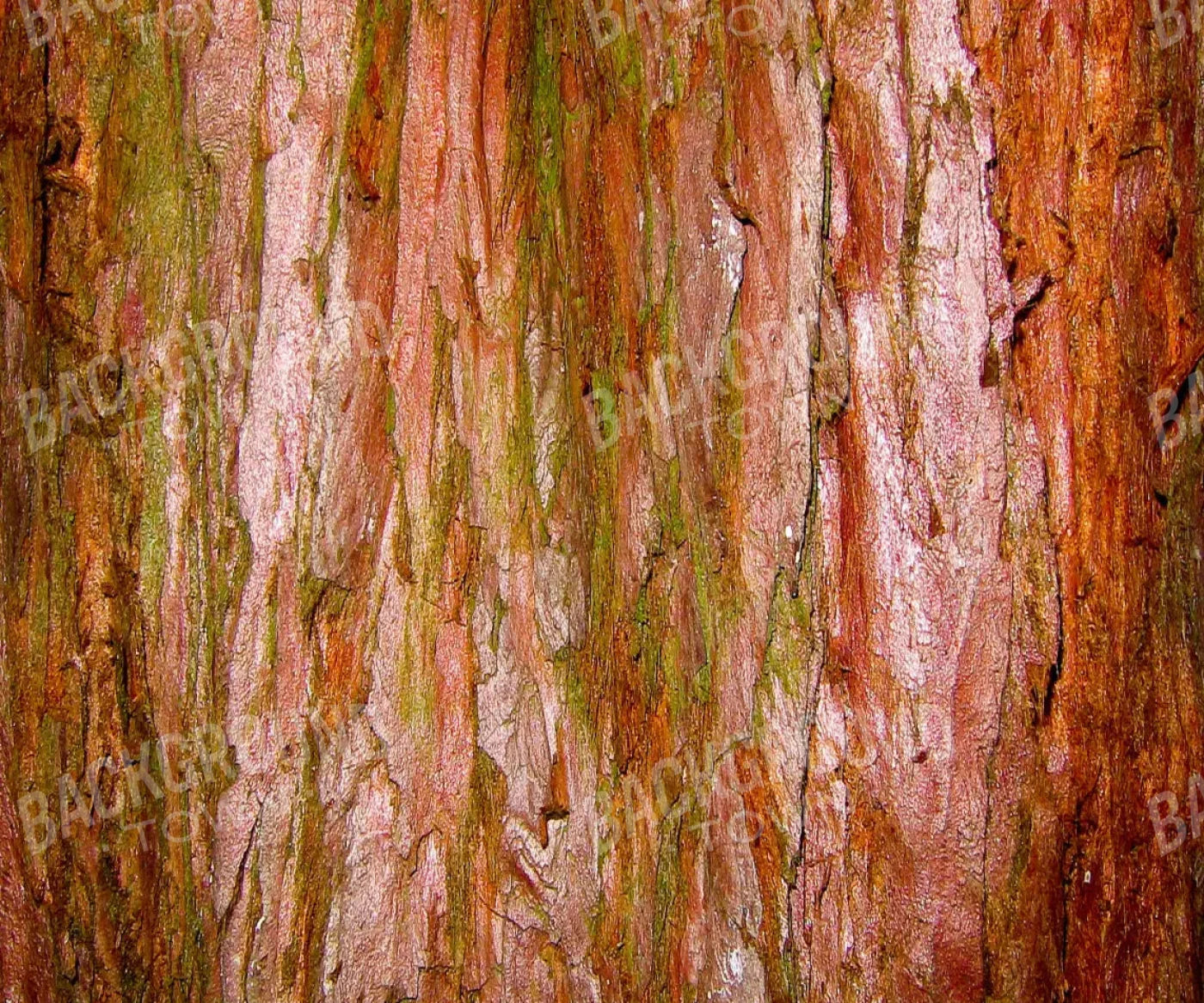 Carmelo 5X42 Fleece ( 60 X 50 Inch ) Backdrop