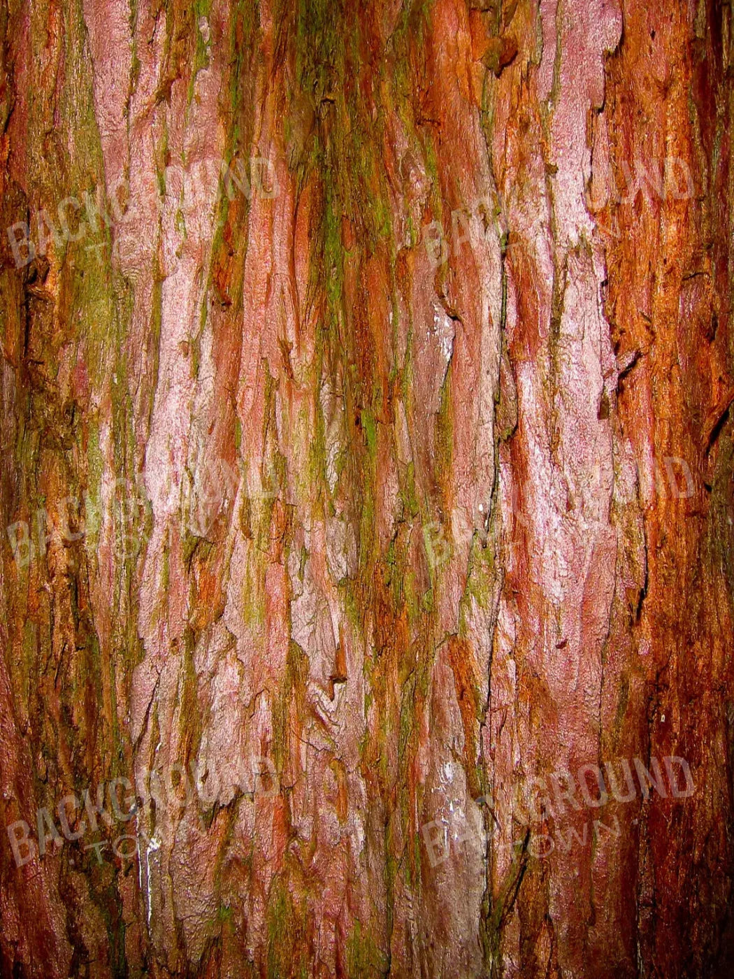 Carmelo 5X7 Ultracloth ( 60 X 84 Inch ) Backdrop