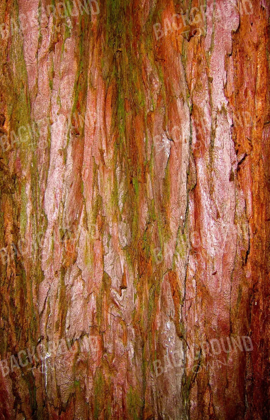 Carmelo 8X12 Ultracloth ( 96 X 144 Inch ) Backdrop