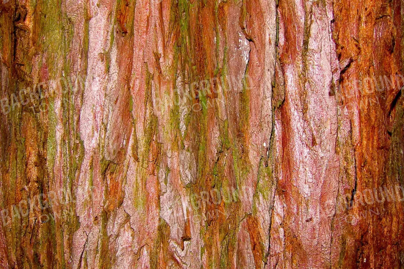 Carmelo 8X5 Ultracloth ( 96 X 60 Inch ) Backdrop