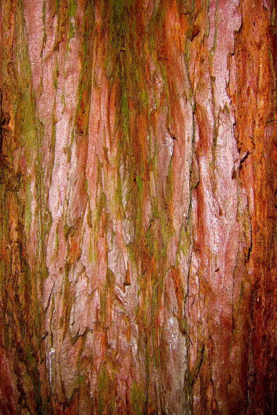 Carmelo 4X5 Rubbermat Floor ( 48 X 60 Inch ) Backdrop