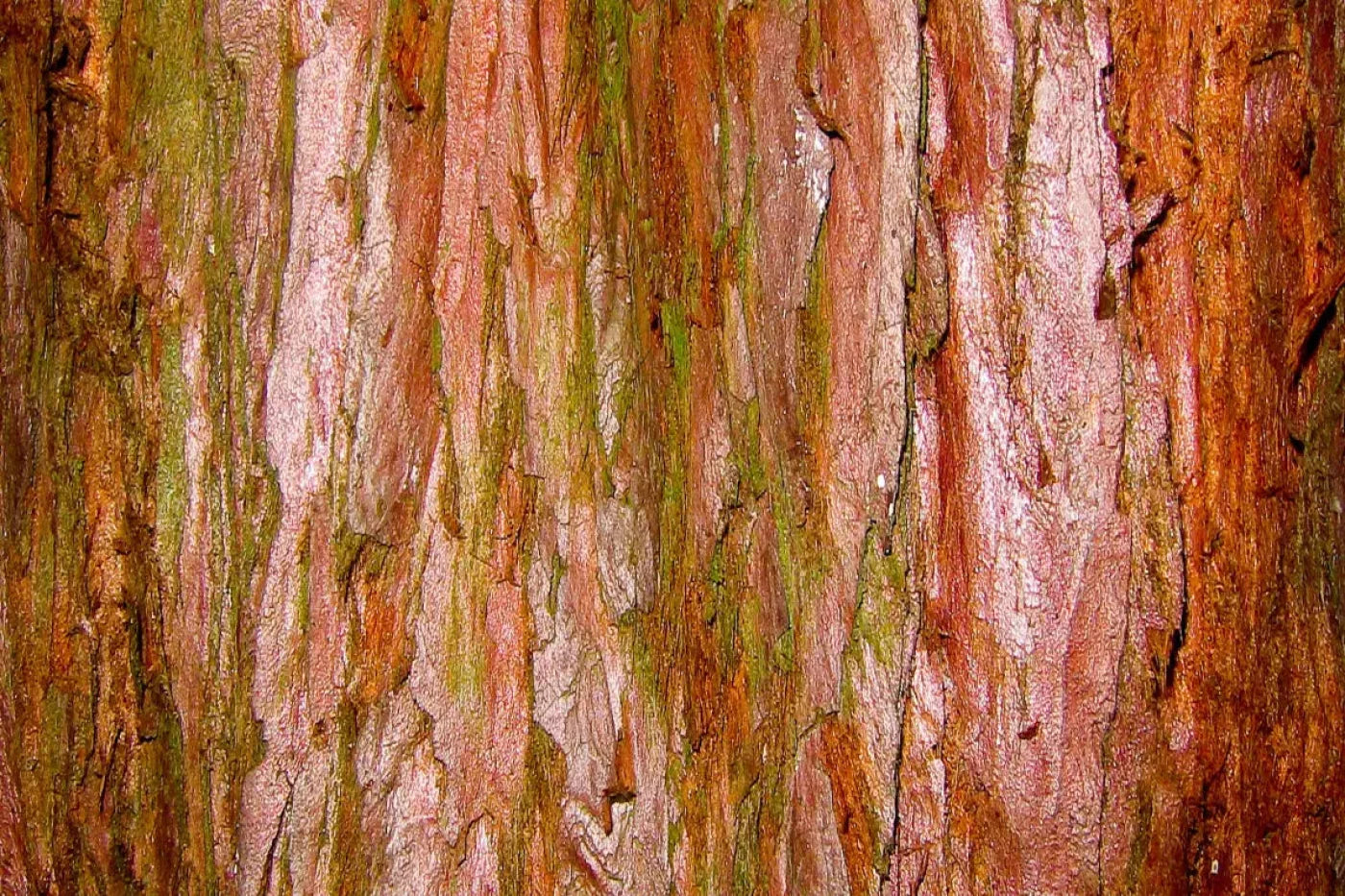 Carmelo 5X4 Rubbermat Floor ( 60 X 48 Inch ) Backdrop