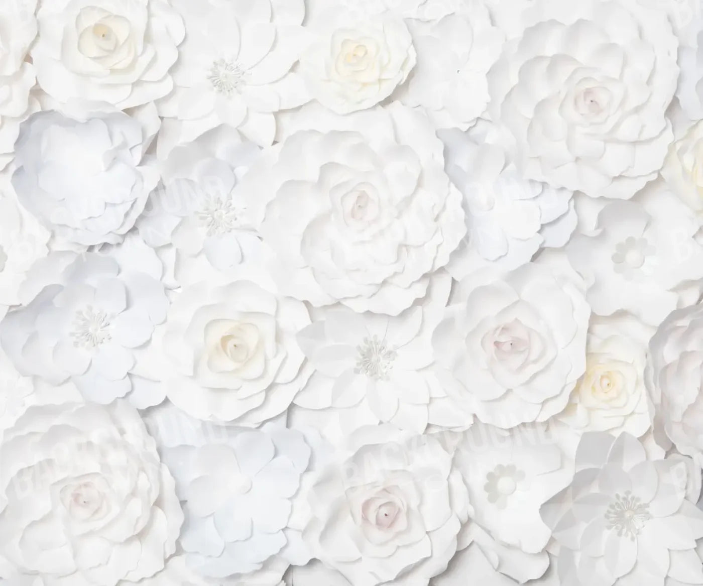 White Backdrop for Photography