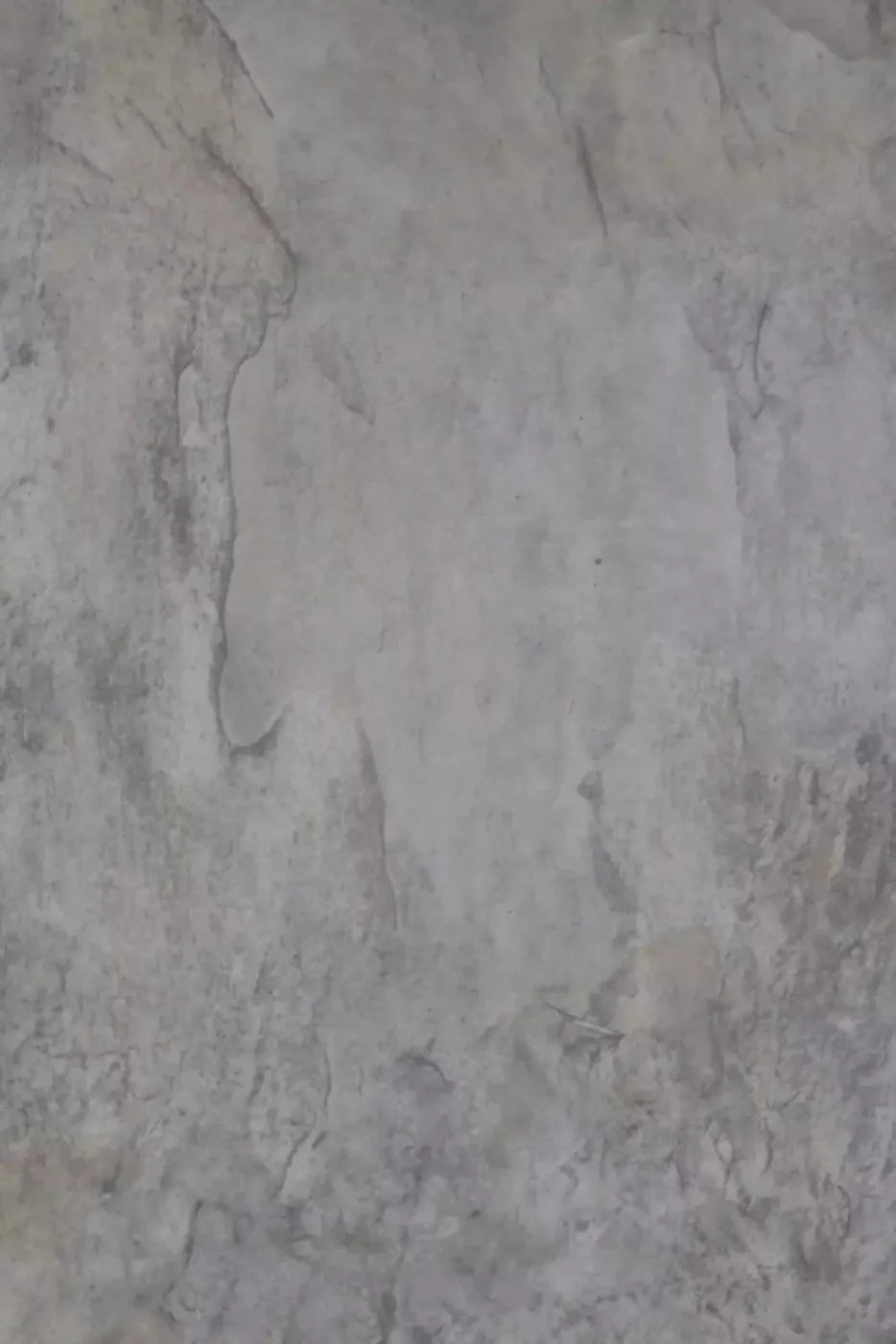 Casper 5X76 For Lvl Up Backdrop System ( 60 X 90 Inch )