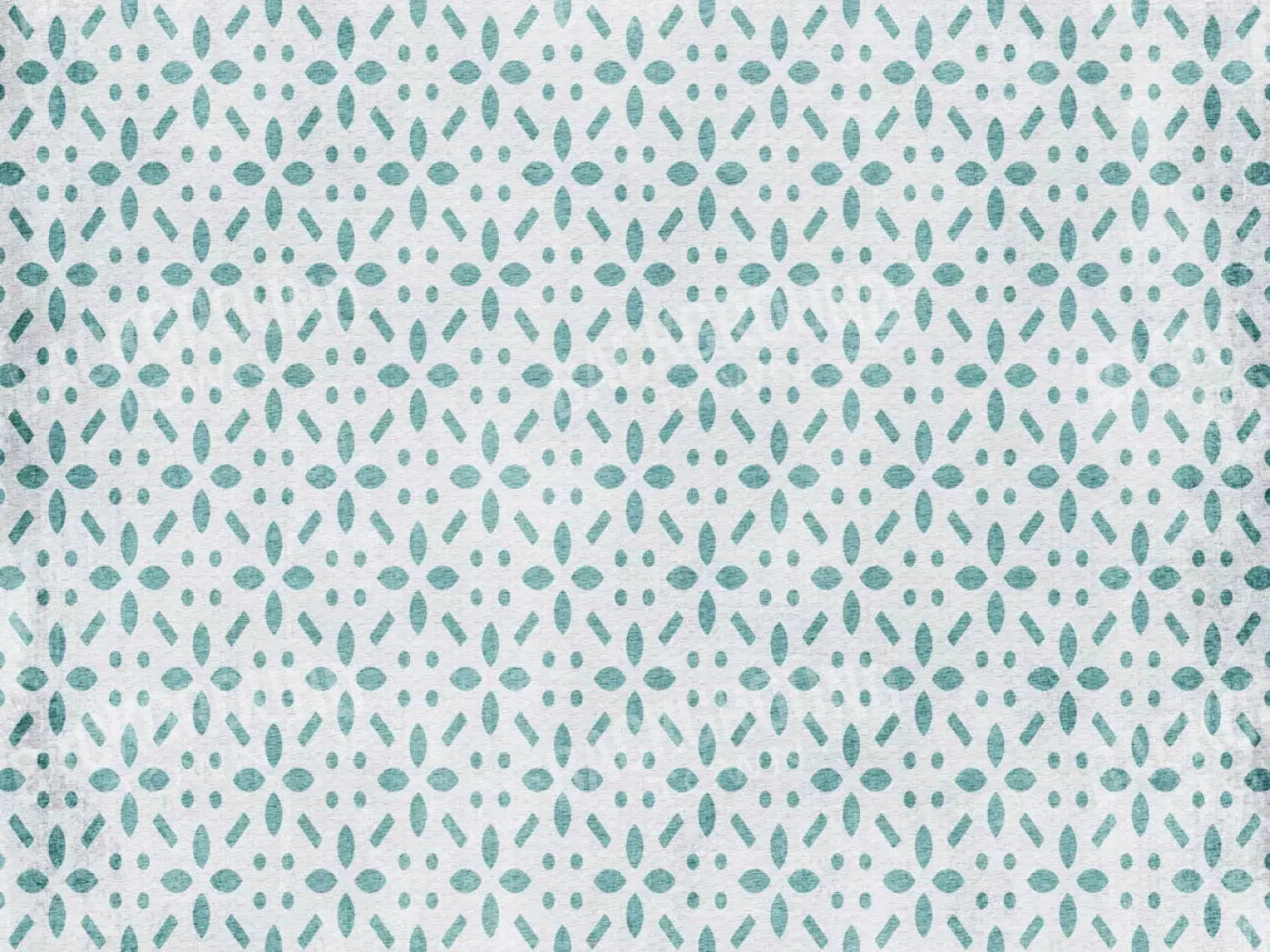 Cassidy 68X5 Fleece ( 80 X 60 Inch ) Backdrop
