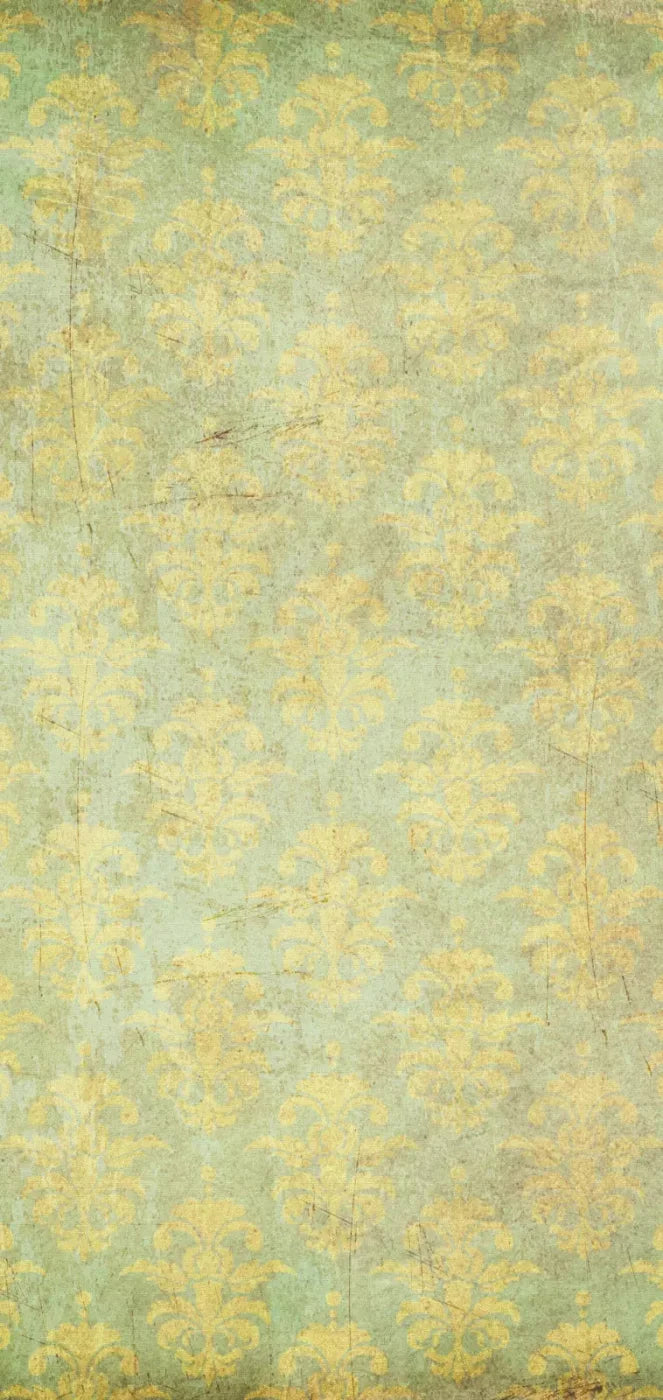 Cassis 8X16 Ultracloth ( 96 X 192 Inch ) Backdrop