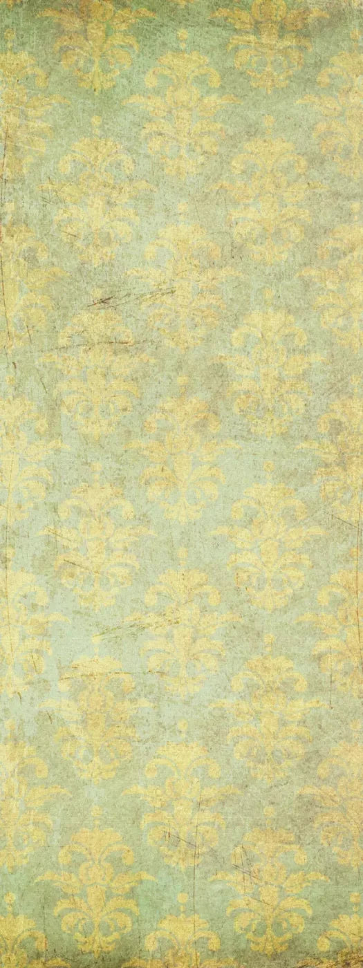 Cassis 8X20 Ultracloth ( 96 X 240 Inch ) Backdrop