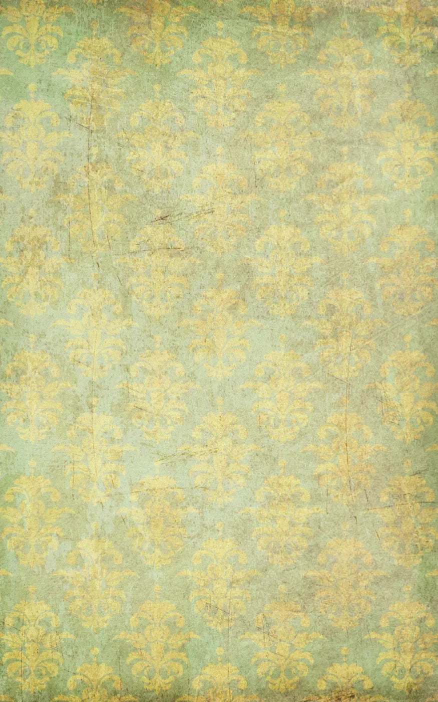 Cassis 9X14 Ultracloth ( 108 X 168 Inch ) Backdrop