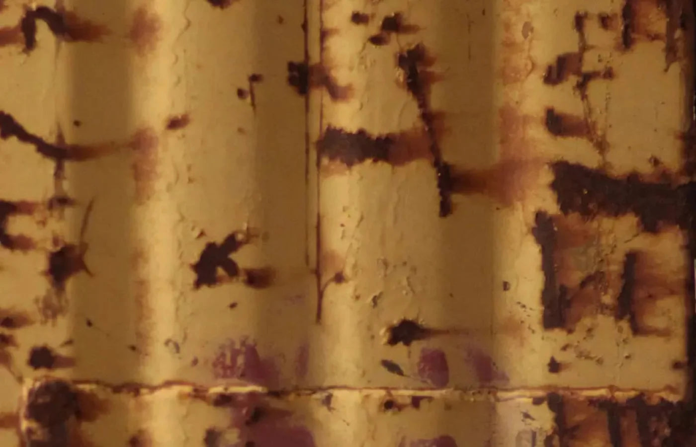 Cautioned 12X8 Ultracloth ( 144 X 96 Inch ) Backdrop