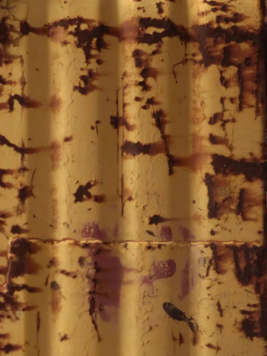 Cautioned 5X7 Ultracloth ( 60 X 84 Inch ) Backdrop