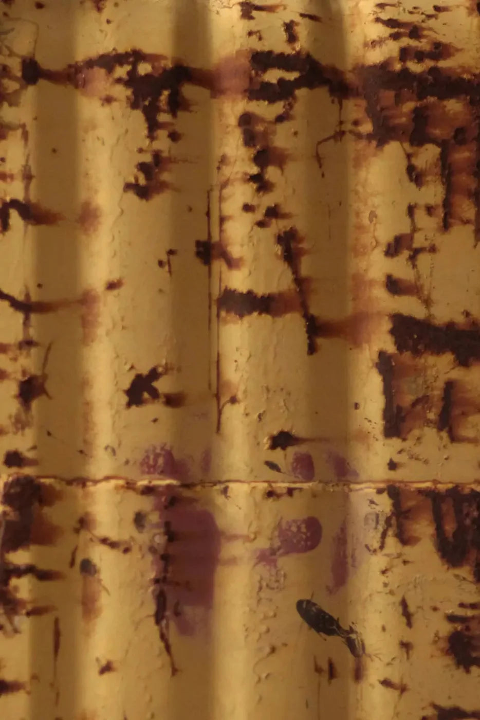 Cautioned 5X8 Ultracloth ( 60 X 96 Inch ) Backdrop