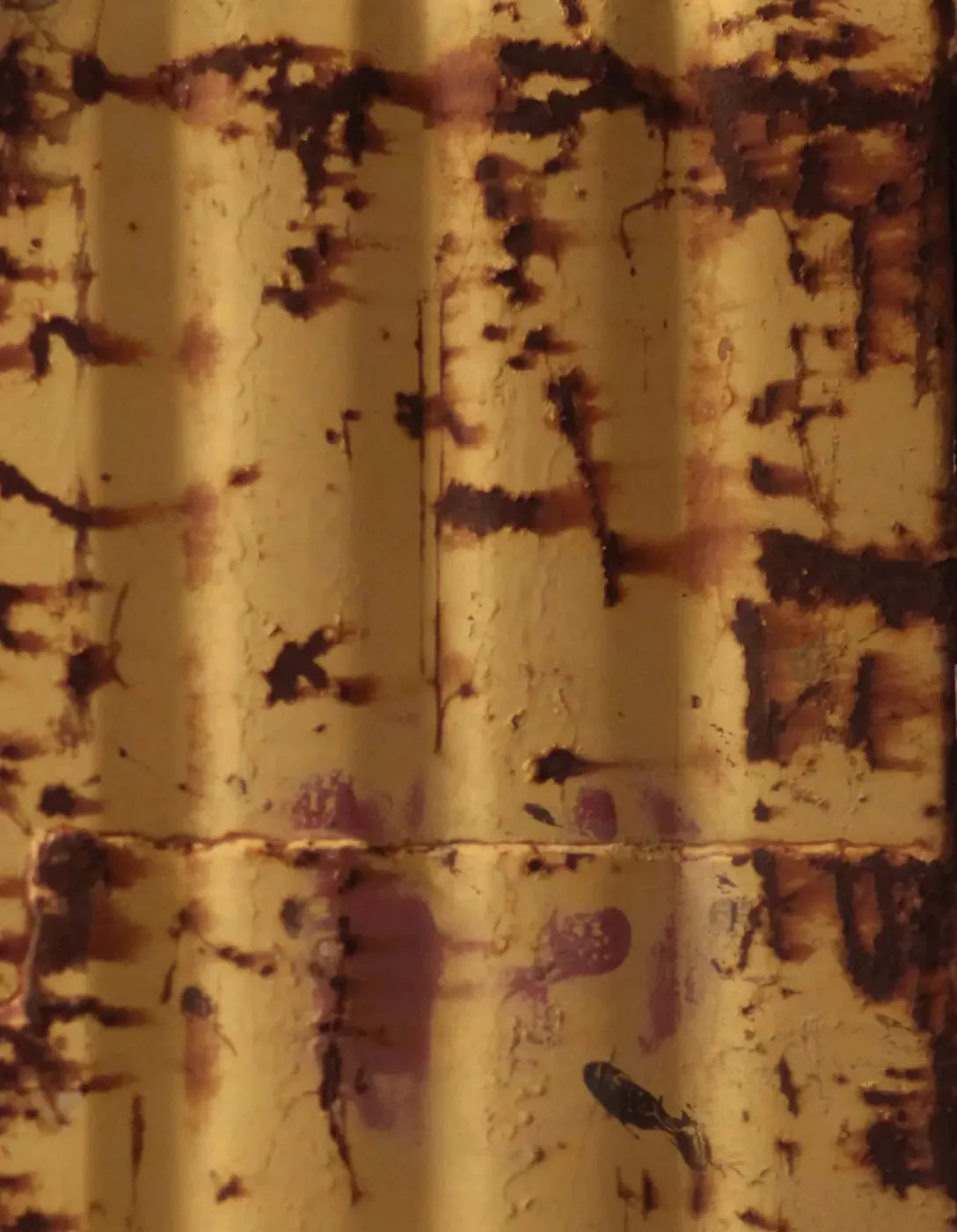 Cautioned 6X8 Fleece ( 72 X 96 Inch ) Backdrop