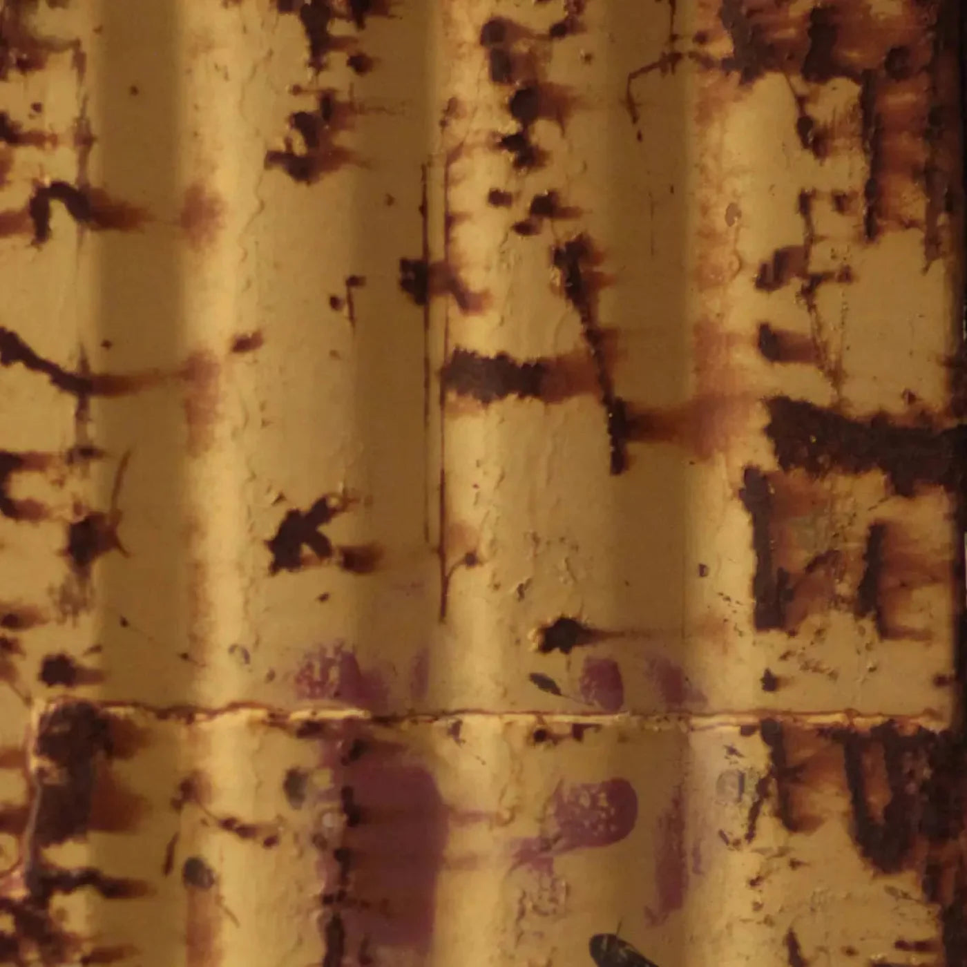 Cautioned 8X8 Fleece ( 96 X Inch ) Backdrop