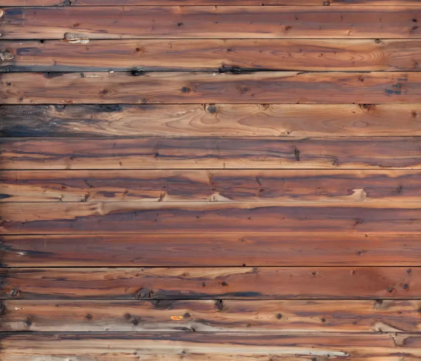 Cedar Mill 12X10 Ultracloth ( 144 X 120 Inch ) Backdrop