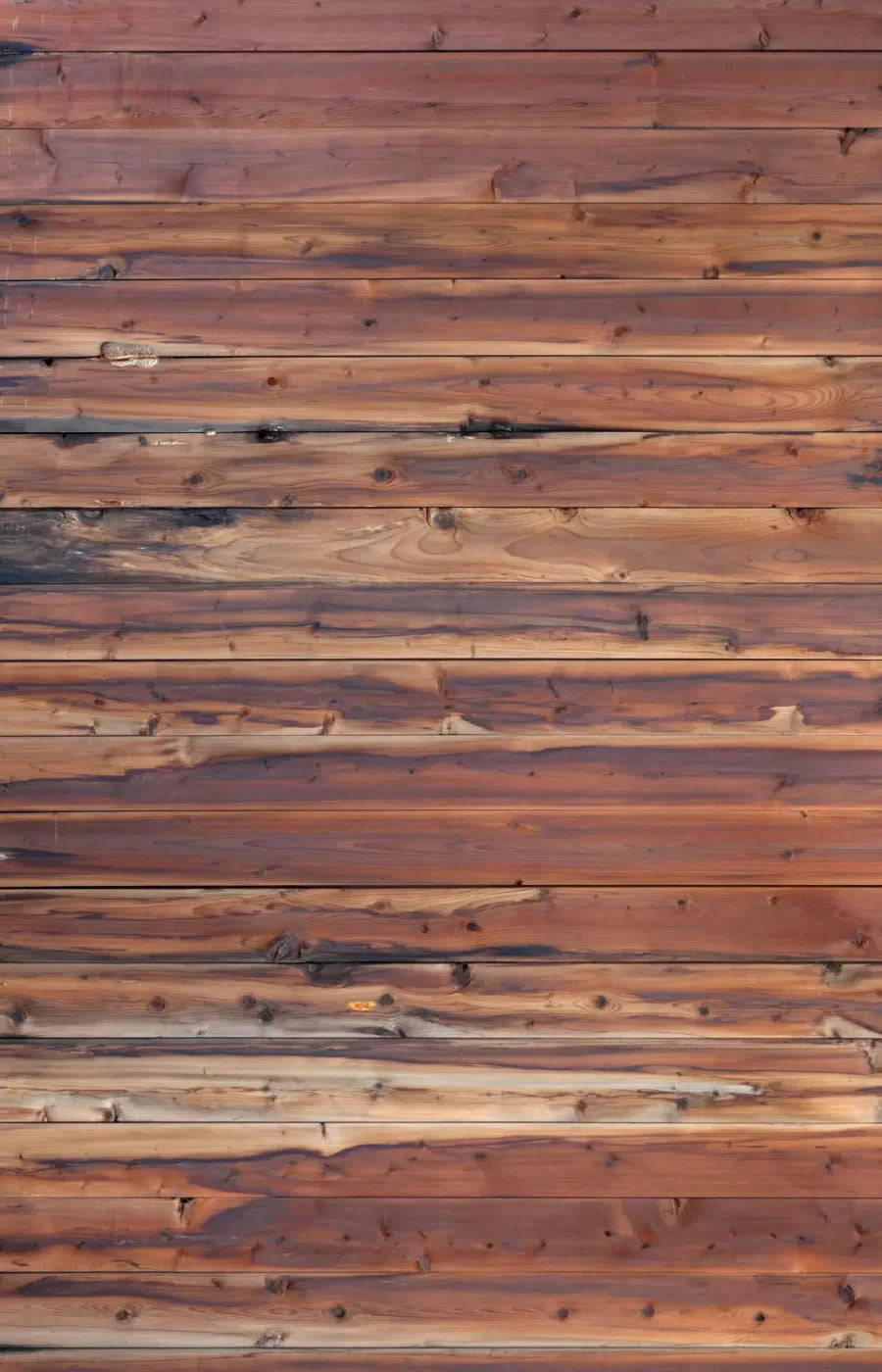 Cedar Mill 8X12 Ultracloth ( 96 X 144 Inch ) Backdrop