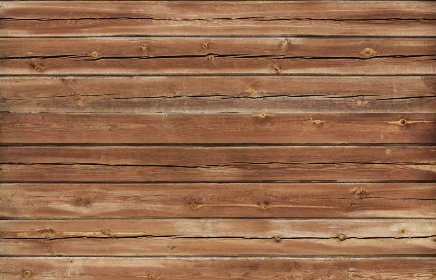 Cedar Walk 12X8 Ultracloth ( 144 X 96 Inch ) Backdrop
