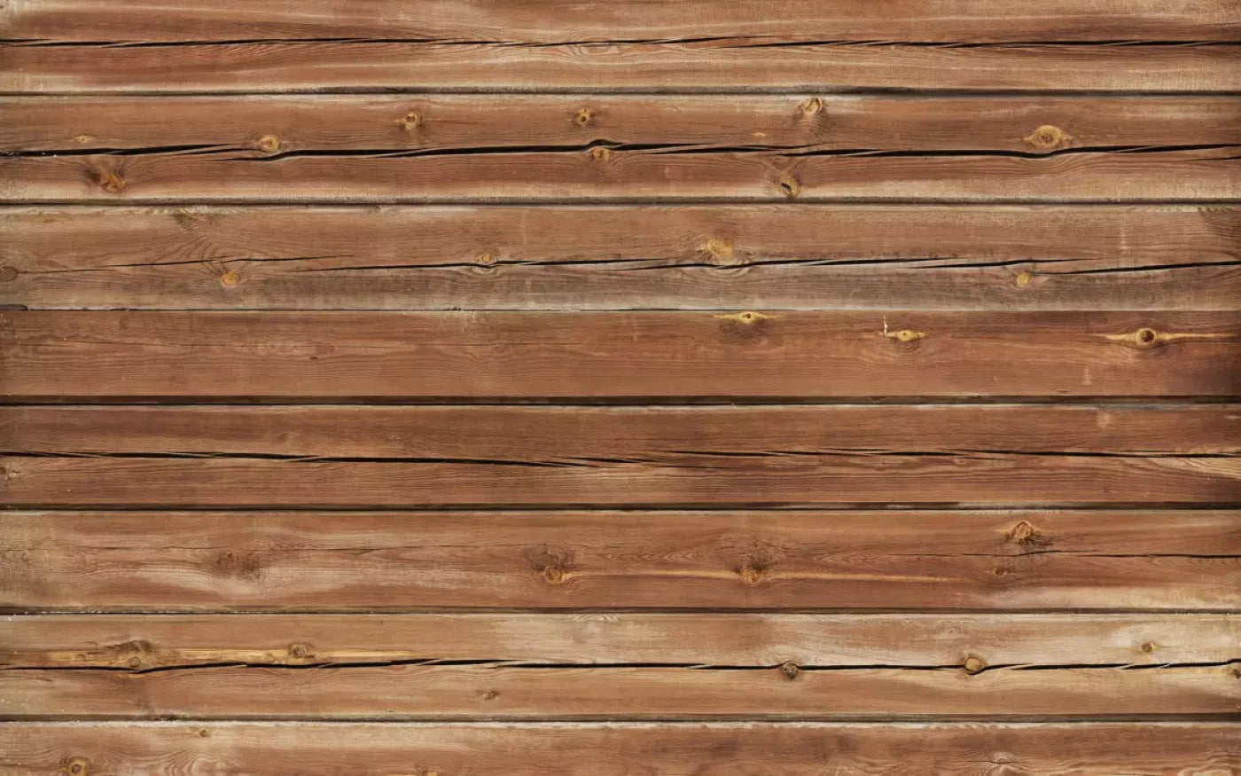 Cedar Walk 14X9 Ultracloth ( 168 X 108 Inch ) Backdrop