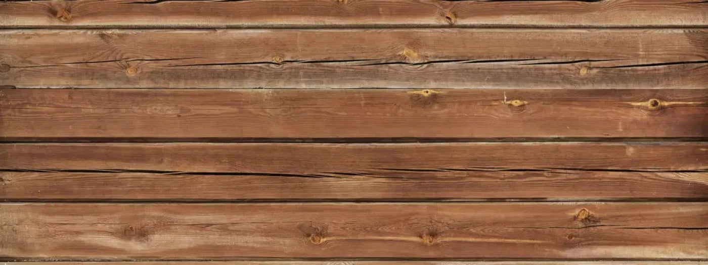 Cedar Walk 20X8 Ultracloth ( 240 X 96 Inch ) Backdrop