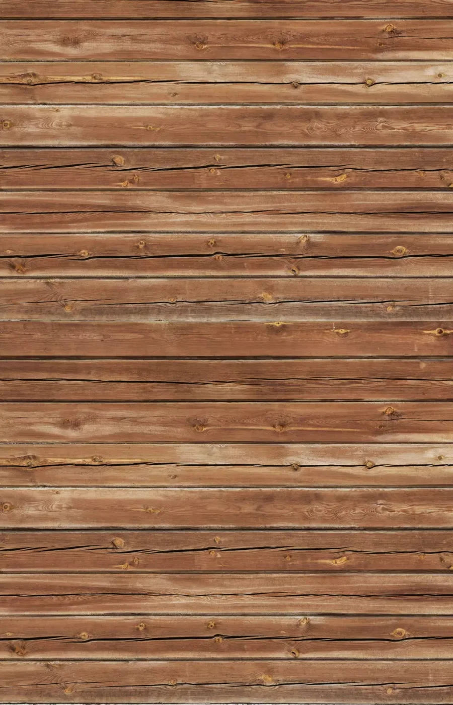 Cedar Walk 8X12 Ultracloth ( 96 X 144 Inch ) Backdrop