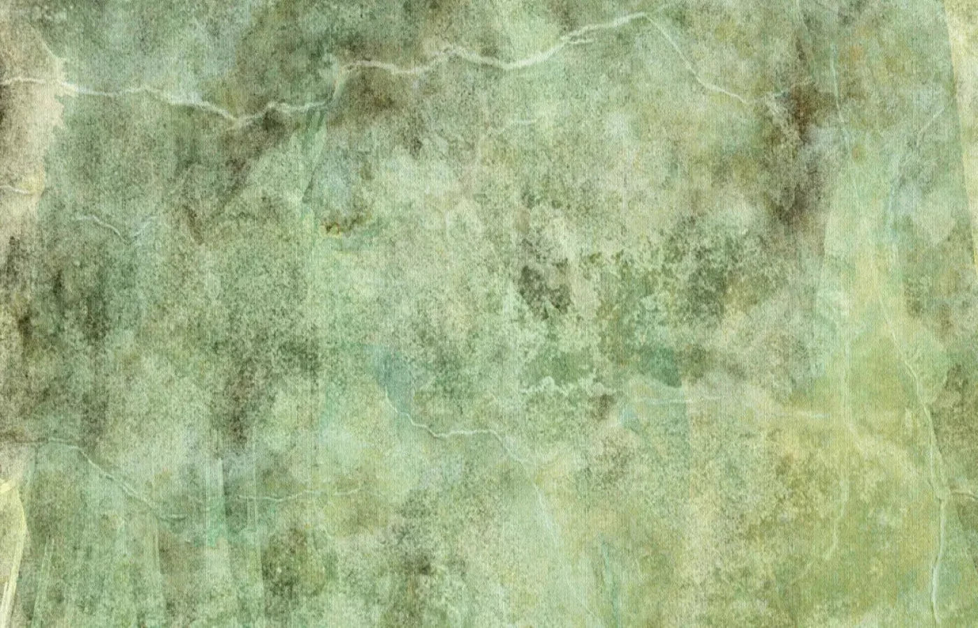 Celery 12X8 Ultracloth ( 144 X 96 Inch ) Backdrop