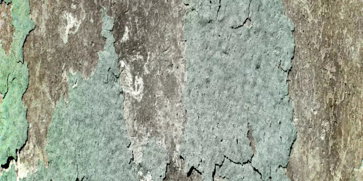 Cell 20X10 Ultracloth ( 240 X 120 Inch ) Backdrop