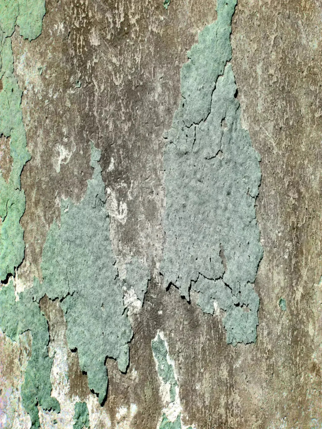 Cell 5X68 Fleece ( 60 X 80 Inch ) Backdrop