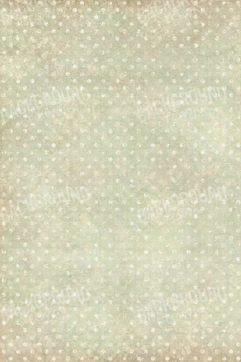 Charmaine 5X8 Ultracloth ( 60 X 96 Inch ) Backdrop