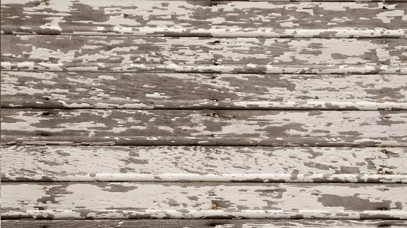 Chips 14X8 Ultracloth ( 168 X 96 Inch ) Backdrop