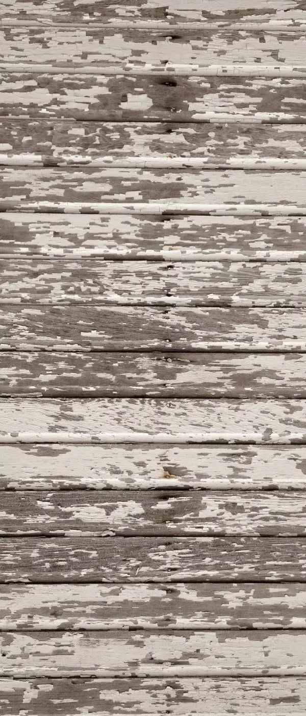 Chips 5X12 Ultracloth For Westcott X-Drop ( 60 X 144 Inch ) Backdrop