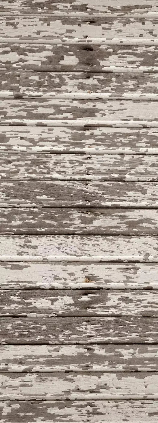 Chips 8X20 Ultracloth ( 96 X 240 Inch ) Backdrop