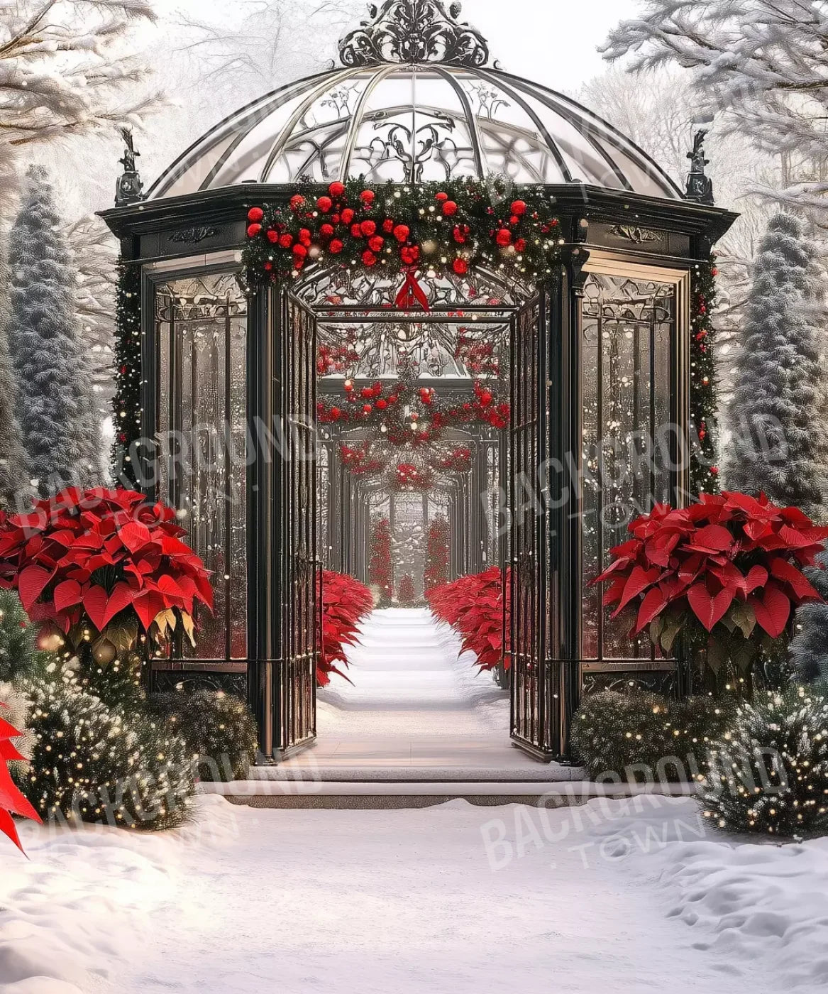 Black White Red Green Backdrop for Photography