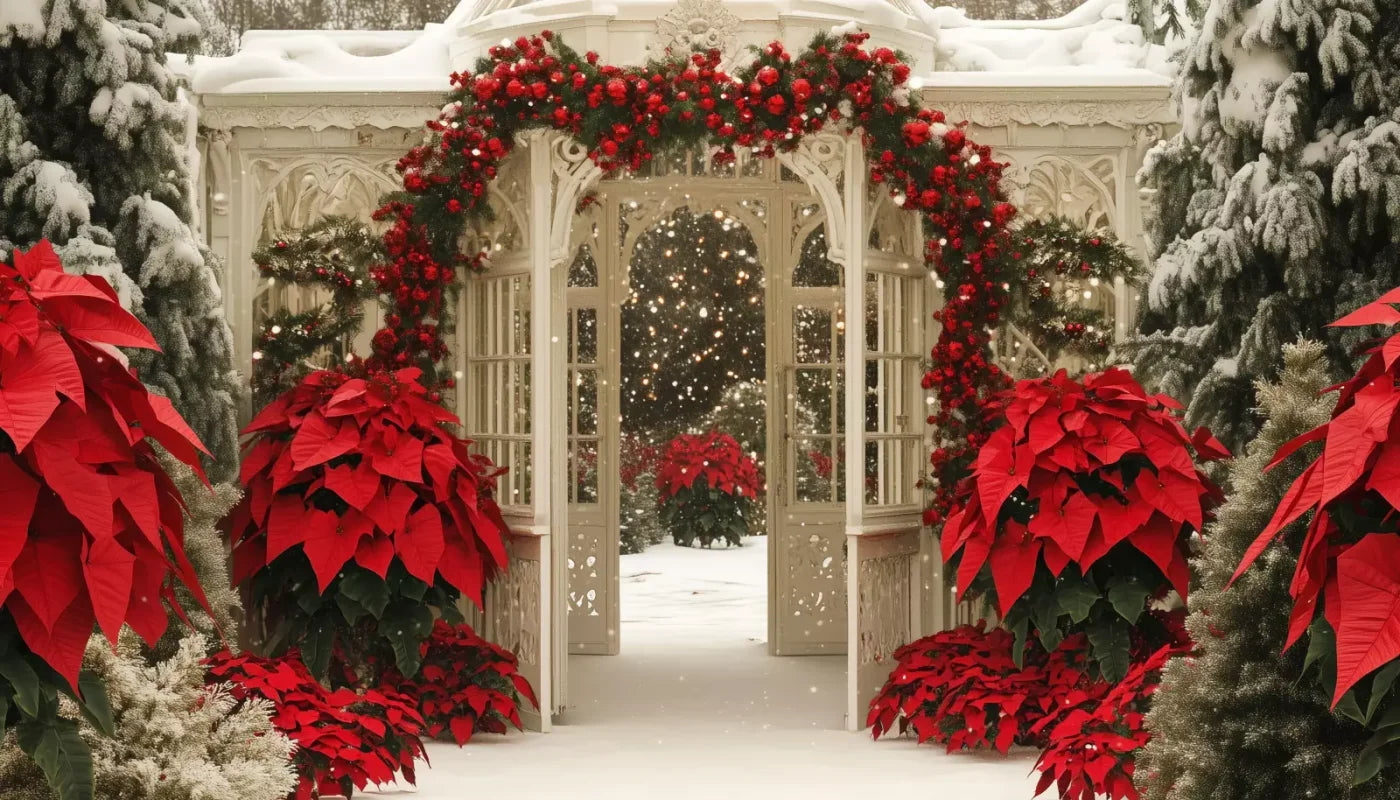 Christmas Garden Painterly I 14’X8’ Ultracloth (168 X 96 Inch) Backdrop
