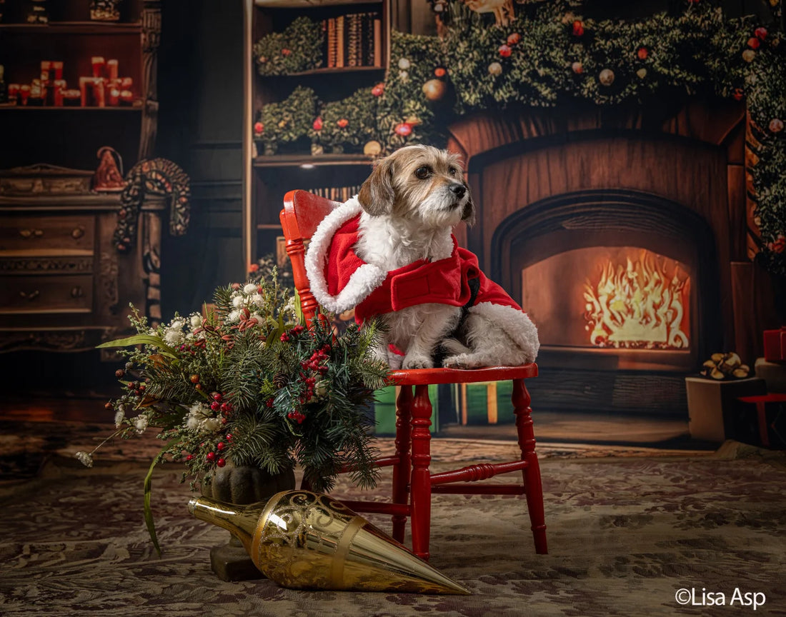 Christmas Living Room Full Backdrop