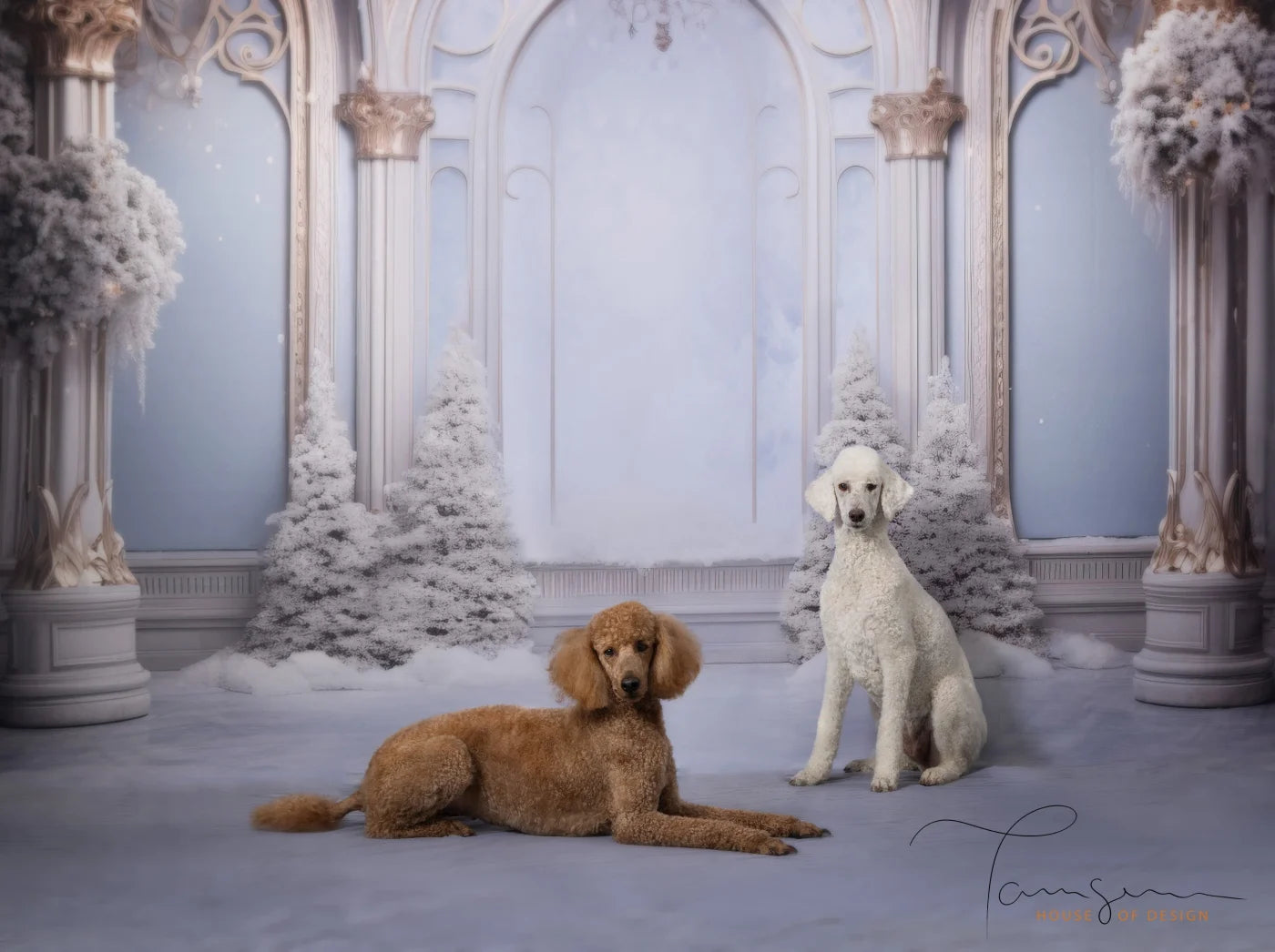 Christmas Winter Blues Ballroom Backdrop