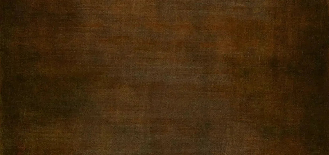 Cinnamon Stick 16X8 Ultracloth ( 192 X 96 Inch ) Backdrop