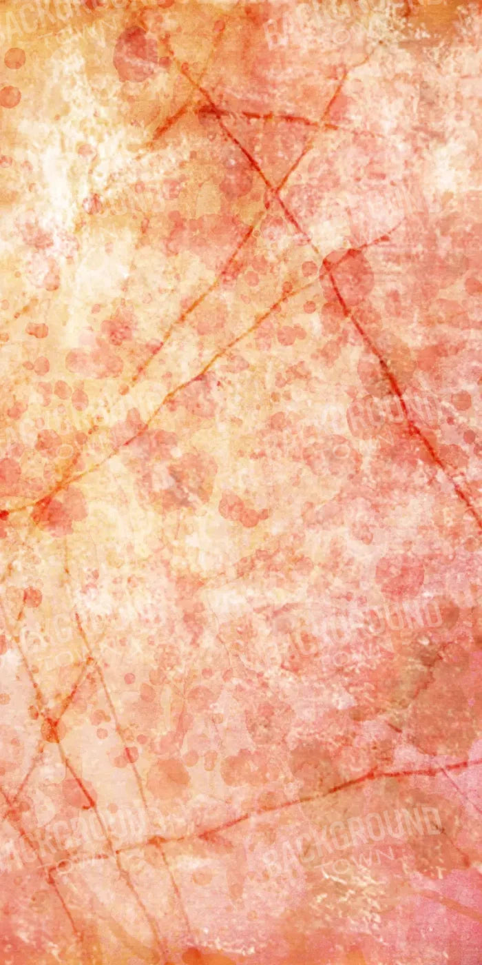 Claire 10X20 Ultracloth ( 120 X 240 Inch ) Backdrop