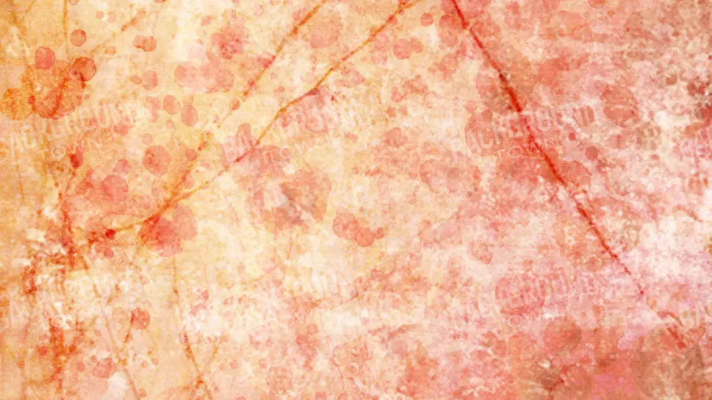 Claire 14X8 Ultracloth ( 168 X 96 Inch ) Backdrop