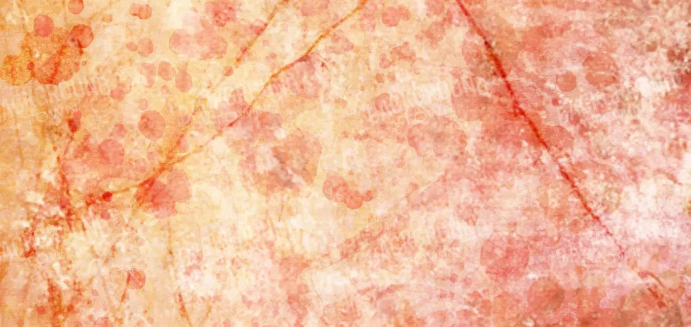 Claire 16X8 Ultracloth ( 192 X 96 Inch ) Backdrop