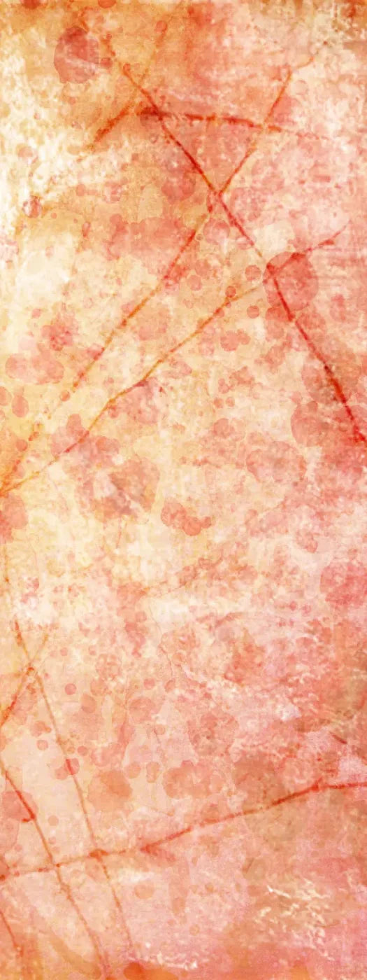 Claire 8X20 Ultracloth ( 96 X 240 Inch ) Backdrop
