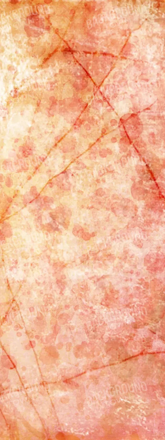 Claire 8X20 Ultracloth ( 96 X 240 Inch ) Backdrop