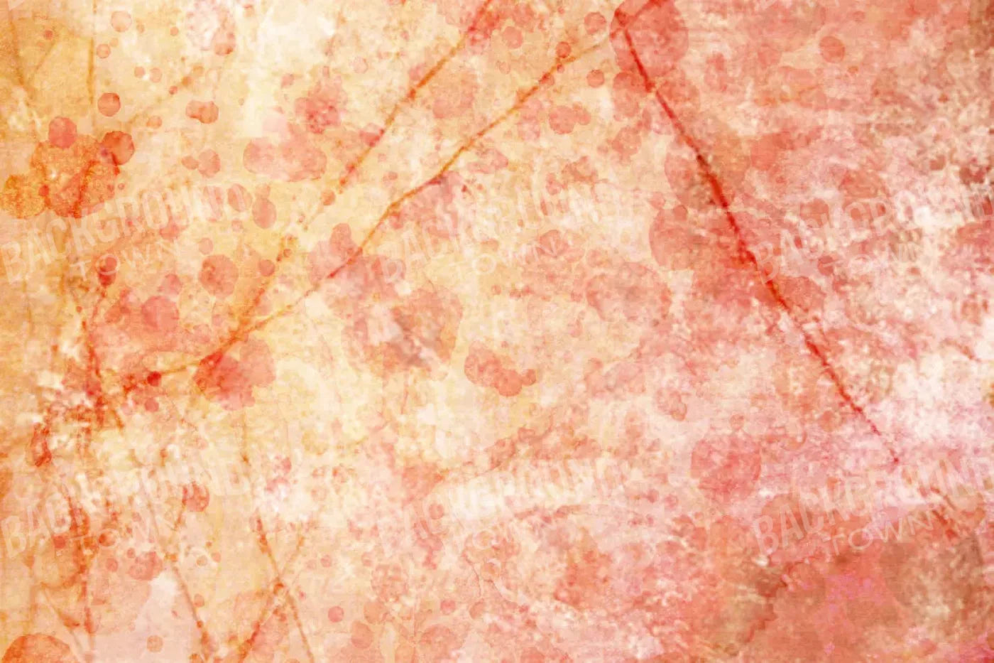 Claire 8X5 Ultracloth ( 96 X 60 Inch ) Backdrop