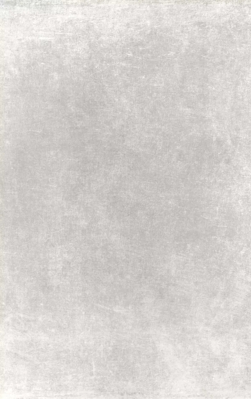 Classic Texture Light Warm Gray 10X16 Ultracloth ( 120 X 192 Inch ) Backdrop
