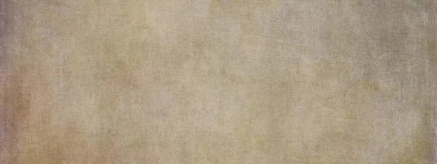Classic Texture Soft Brown 20X8 Ultracloth ( 240 X 96 Inch ) Backdrop