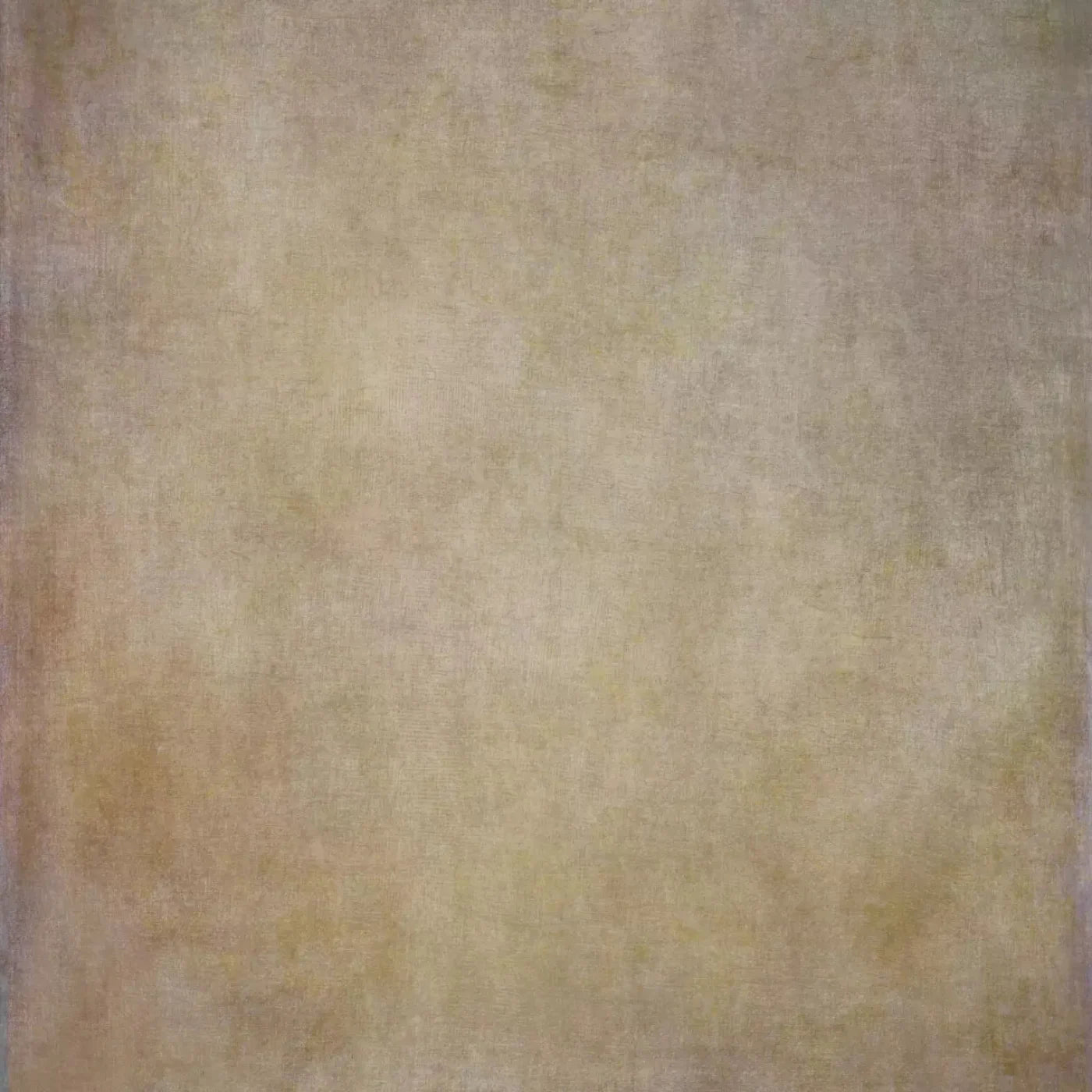 Classic Texture Soft Brown Backdrop