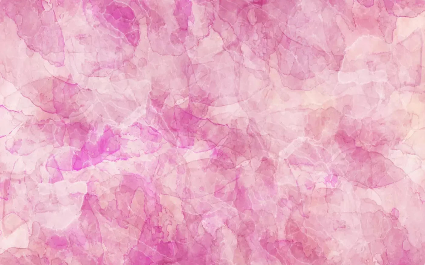 Clever 14X9 Ultracloth ( 168 X 108 Inch ) Backdrop