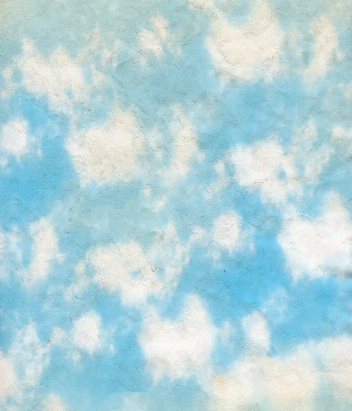 Cloudy 10X12 Ultracloth ( 120 X 144 Inch ) Backdrop